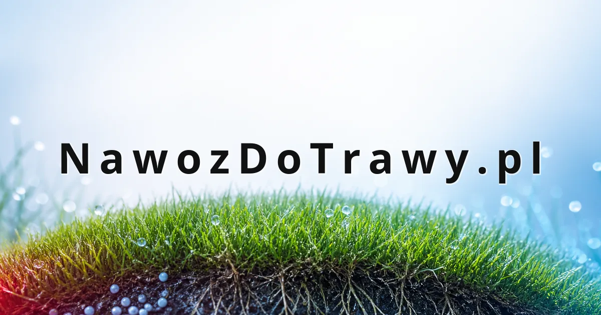 NawozDoTrawy.pl - domena na sprzedaż